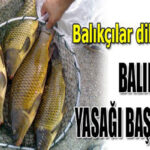 Vanspor FK’den 1. Lig için dev adım! Play-Off 3. Tur İlk maçında Elazığspor’u farklı geçti – Birlik Haber Ajansı