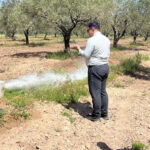 Kumluca Belediyespor BAL’da kaldı – Birlik Haber Ajansı