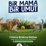 Minik eller sanatla buluştu: ‘Çark ve Salıncak’ Sergisi Başkentlilerle buluştu – Birlik Haber Ajansı