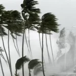 TED Dans’ın fidaydası sosyal medyada viral oldu – Birlik Haber Ajansı