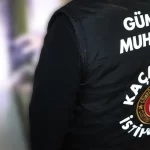 DMM'den, Marmaris'teki "Çam ağacı kesimi" iddialarına yalanlama