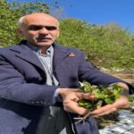 Türk Eğitim Derneği’nden VI. Uluslararası Eğitim Forumu: “Öğrenme Mühendisliği” Ankara’da masaya yatırılacak – Birlik Haber Ajansı