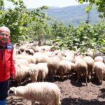 Düzce’de “Çerkes Sürgünü ve Anma Programı” düzenlendi – Birlik Haber Ajansı