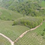 Kemer’de güzeller podyuma çıktı – Birlik Haber Ajansı