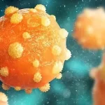 Ankara’ya 940 bin metrekarelik dev yeşil alan! – Birlik Haber Ajansı