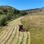 Aksaray’da inşaattan düşen işçi hayatını kaybetti – Birlik Haber Ajansı