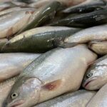 AYHAK Başkanlığına Selim Şahin seçildi: “Türk Avcısı Tek Yürek Oldu” – Birlik Haber Ajansı