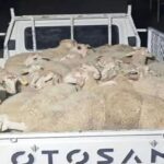 Gürcü Dans Topluluğu’ndan Kemer’de kültür şöleni – Birlik Haber Ajansı