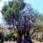 Emeğin başkentinden seslendiler! – Birlik Haber Ajansı