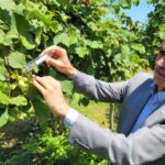 Gürcü Dans Topluluğu’ndan Kemer’de kültür şöleni – Birlik Haber Ajansı