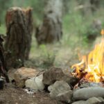 Kars Tarım ve Orman İl Müdürü Enver Aydın, Dolu Zararını Yerinde İnceledi – Birlik Haber Ajansı