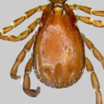 Susuz Kaymakamı Muhammed Emin Tutal, Muhtarlarla Tanışma toplantısı düzenledi