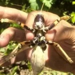 Ankara Kent Konseyi Başkanı Yılmaz: Ankara’yı sadece memurların kenti sananlar yanılıyor – Birlik Haber Ajansı