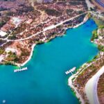 Ormanya gece sineması 5 bin katılımcıyla rekor kırdı – Birlik Haber Ajansı