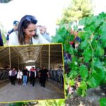 Antalya’da siber operasyonlarda 9 kişi tutuklandı – Birlik Haber Ajansı