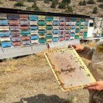 Pedallar Dünyayı Başkentte buluşturdu!