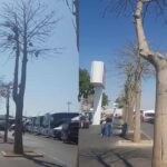 Isparta’da Elma hasadı başladı – Birlik Haber Ajansı