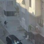 Türkiye-Almanya ticaretinde tarihi artış: 13,1 milyar dolarla rekor kırıldı – Birlik Haber Ajansı