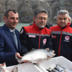 2024 Yılında 6 Bin 351 Canımızı Trafik Kazalarında Kaybettik – Birlik Haber Ajansı