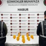 Satılık konut ilanlarına e-Devlet doğrulaması geliyor – Birlik Haber Ajansı