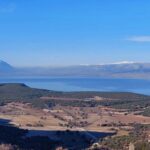 Kars’ta uyuşturucu soruşturmasında kamu görevlisi tutuklandı – Birlik Haber Ajansı