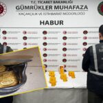 Antalya’daki otobüs faciasında can kaybı 10’a çıktı – Birlik Haber Ajansı